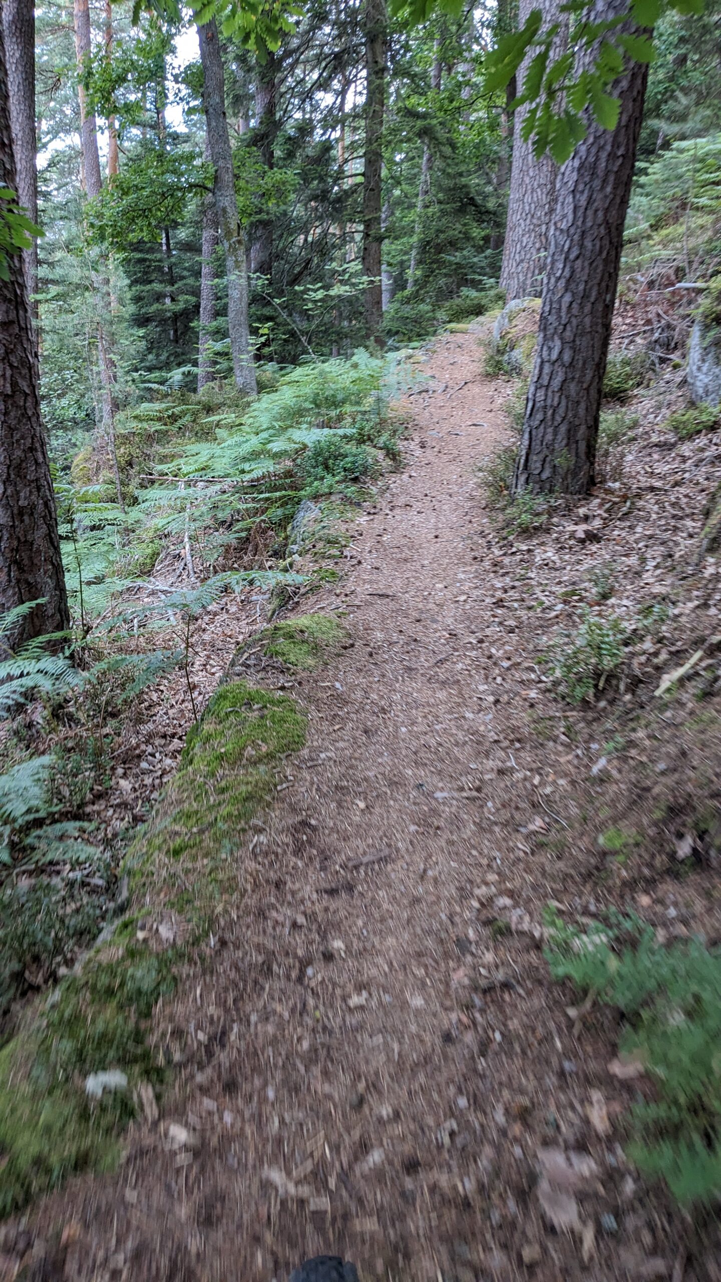 Mountainbike Trailtour